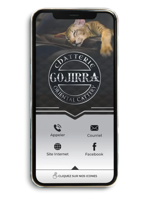 Exemple de carte d’affaires numérique cliquable affichée sur un téléphone